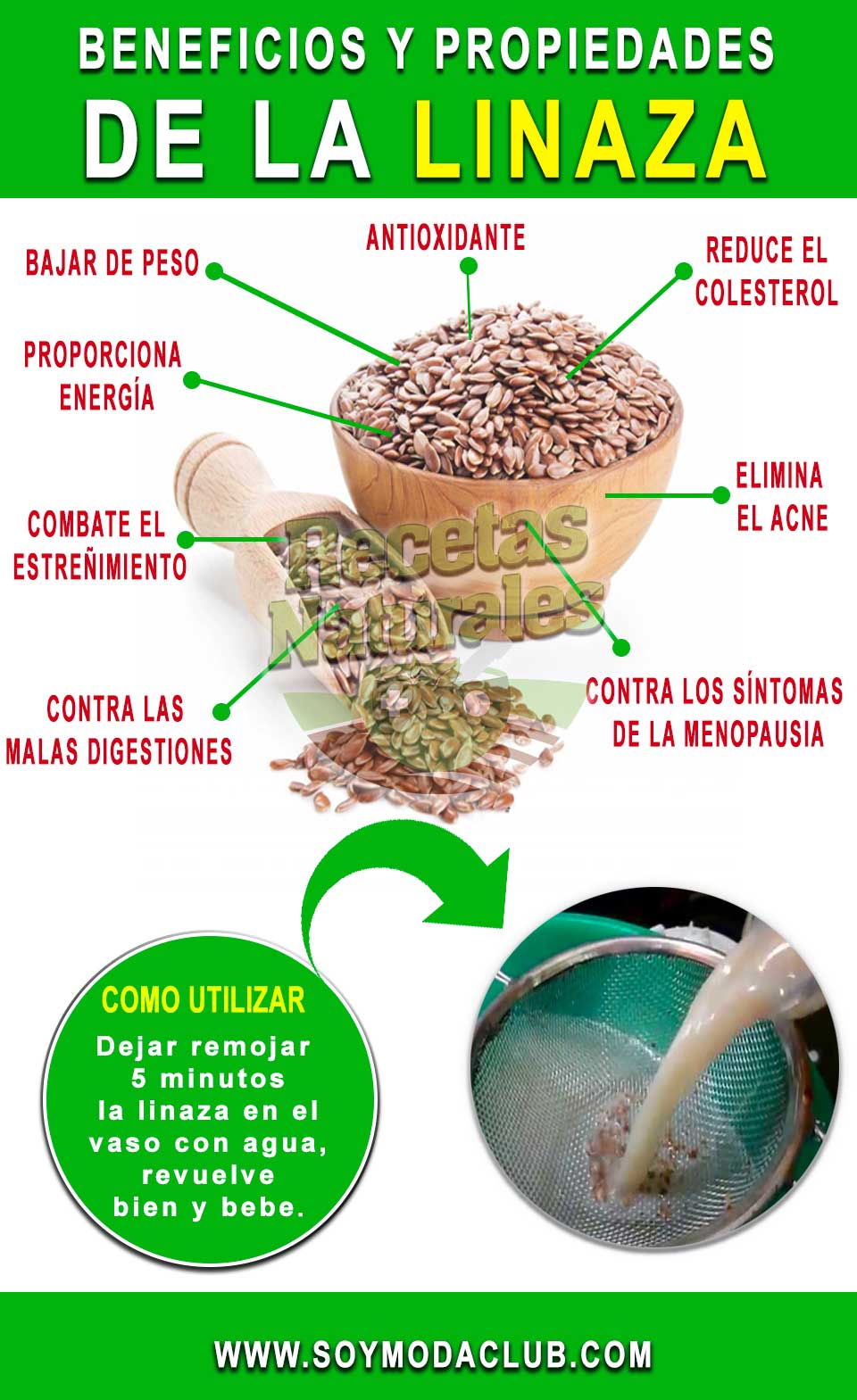 Propiedades, usos y beneficios de la linaza ¿Cómo tomarla? Soy moda