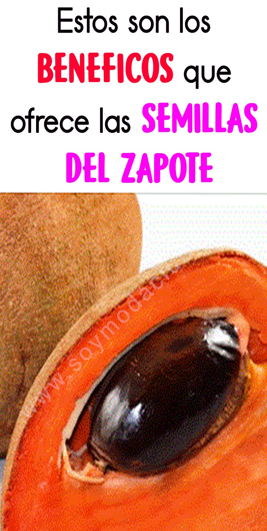 Beneficios de la semilla del zapote