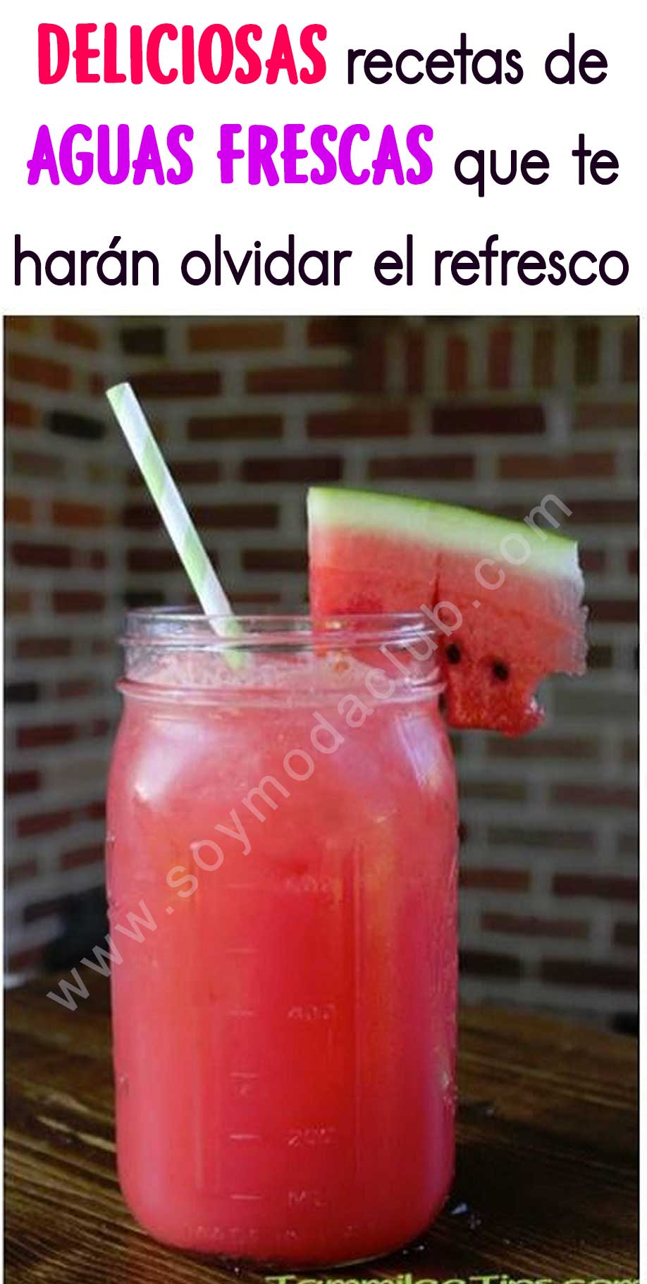Deliciosas recetas de aguas frescas Deliciosas recetas de aguas frescas